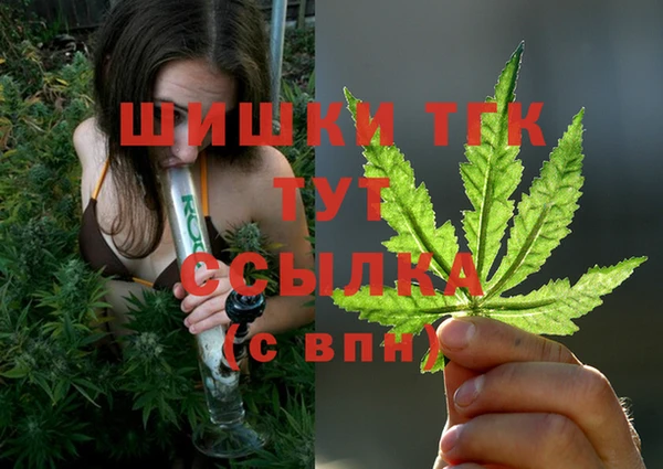 соль ск Арсеньев