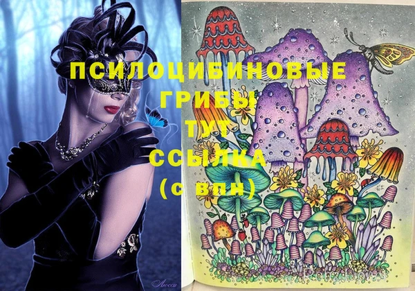 первитин Армянск
