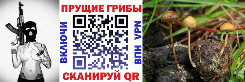 Галлюциногенные грибы прущие грибы Бирюсинск